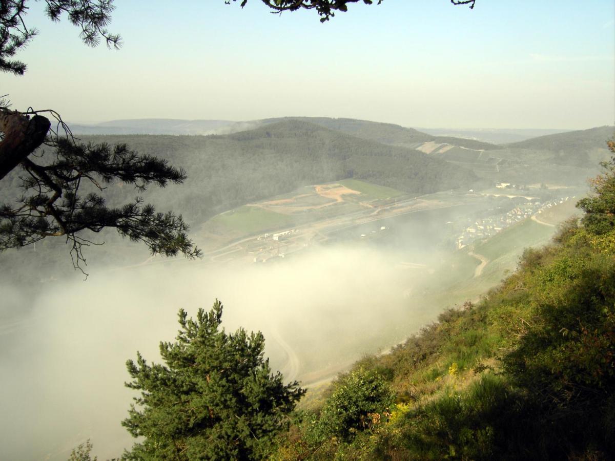 Weinstube Pension Moselbluemchen Zeltingen-Rachtig Εξωτερικό φωτογραφία